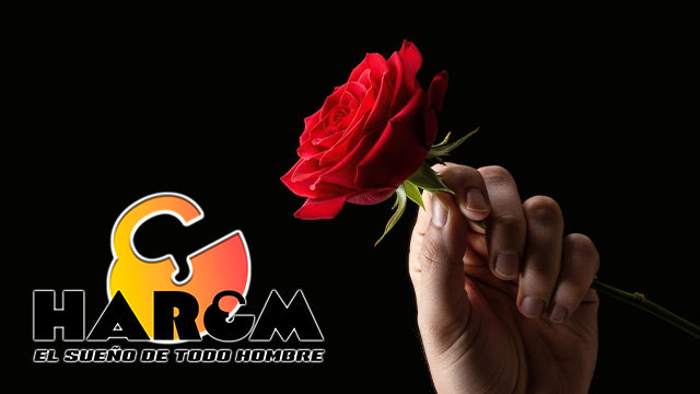 Promoción para Harem